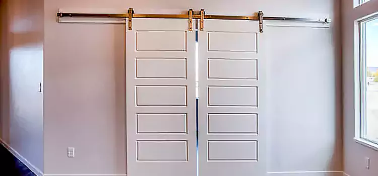 Glass Barn Door with Installation Hardware Kit Highland